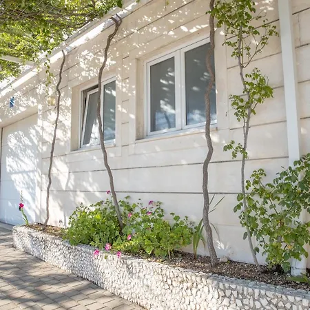 Daire Steko Makarska